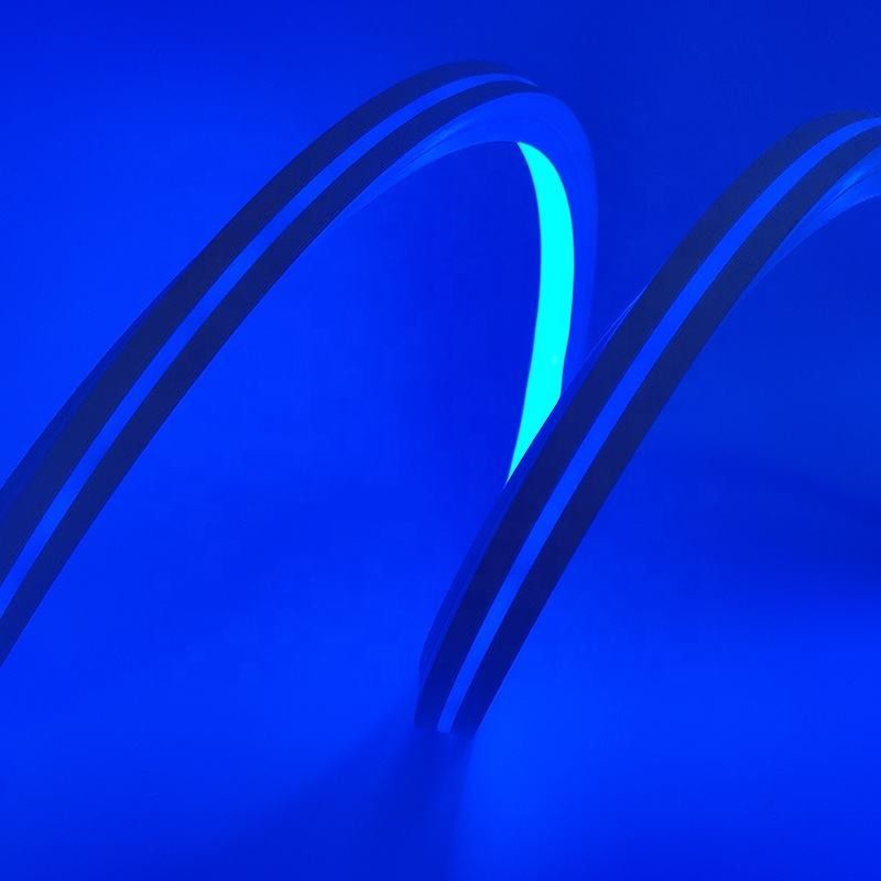 Het adresseerbare Silicone 12v buigt 5m de Droomkleur RGB 16 X 16MM van de Neonlichtstrook DIY-Woorden