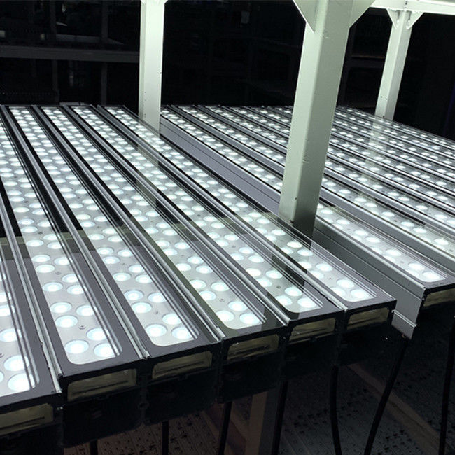 van de LEIDENE van 108W IP65 LEIDEN van de de Kleurenvoorgevel Muurwasmachine Lichte Enige Licht